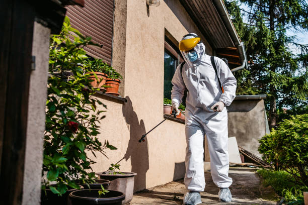 Wildlife Control Services in Pinewood, FL