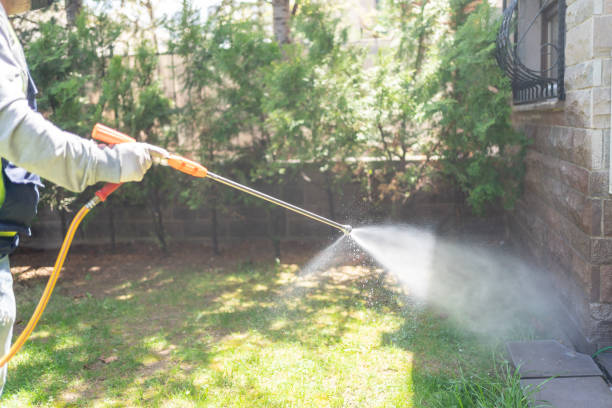 Best Insect Control  in Pinewood, FL