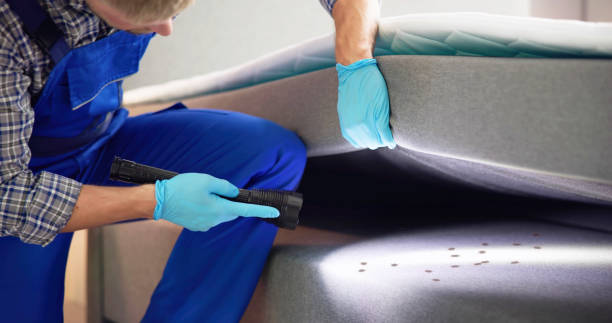 Best Best Pest Control Companies  in Pinewood, FL