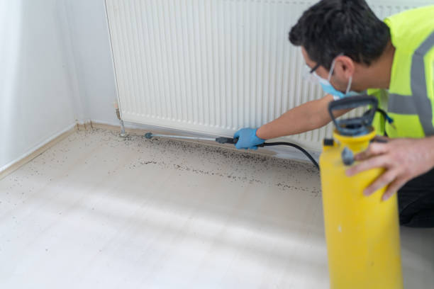 Best Bed Bug Extermination  in Pinewood, FL