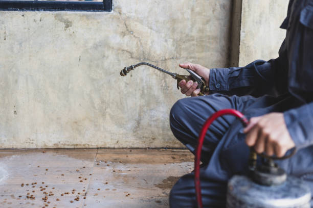 Best Affordable Pest Control Services  in Pinewood, FL